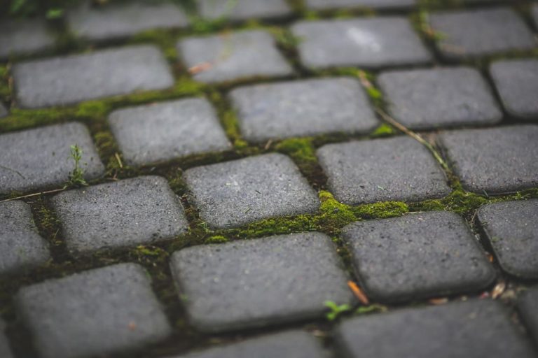 Zrób to sam – układanie kostki betonowej krok po kroku